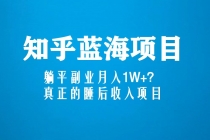 知乎蓝海玩法，躺平副业月入1W+，真正的睡后收入项目-副业网
