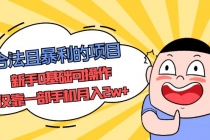 合法且暴利的项目，新手0基础可操作，仅靠一部手机月入2w+-副业网