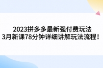 2023拼多多最新强付费玩法，3月新课​78分钟详细讲解玩法流程！-副业网