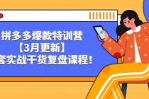 拼多多爆款特训营【3月更新】，全套实战干货​复盘课程！-副业网