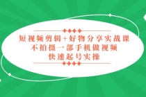 短视频剪辑+好物分享实战课，无需拍摄一部手机做视频，快速起号实操！-副业网