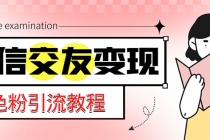 微信交友变现项目，吸引全网LSP男粉精准变现，小白也能轻松上手，日入500+-副业网