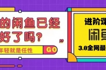 火爆全网的咸鱼玩法进阶课程，单号日入1K的咸鱼进阶课程-副业网