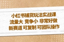 小红书铺货玩法实战课，流量大 竞争小 非常好做 新赛道 可复制 可团队操作-副业网