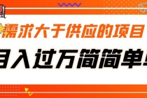 需求大于供应的项目，月入过万简简单单，免费提供一手渠道-副业网