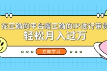 在正确的平台蹭正确的IP进行带货，轻松月入过万-副业网
