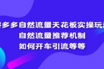 拼多多自然流量天花板实操玩法：自然流量推荐机制，如何开车引流等等-副业网