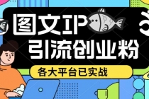 价值1688的ks dy 小红书图文ip引流实操课，日引50-100！各大平台已经实战-副业网