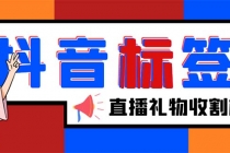 外面收费588的最新抖音标签查询定位工具，直播礼物收割机【软件+教程】-副业网