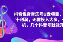 抖音音乐号U盘项目 一单几十利润 无需投入太多 一台手机 几个抖音号就开始-副业网