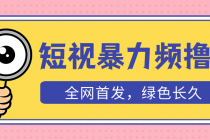 外面收费1680的短视频暴力撸金，日入300+长期可做，赠自动收款平台-副业网