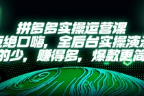 拼多多实操运营课：拒绝口嗨，全后台实操演示，花的少，赚得多，爆款更简单-副业网