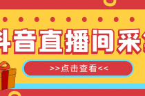 抖音直播间获客引流助手，一键采集直播间用户排行榜【软件+教程】-副业网