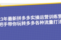 23年最新拼多多实操运营训练营：手把手带你玩转多多各种流量打法！-副业网
