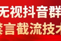 抖音粉丝群无视禁言截流技术，抖音黑科技，直接引流，0封号-副业网