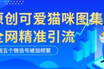 黑科技纯原创可爱猫咪图片，全网精准引流，实操5个VX号被加频繁-副业网