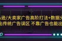 亚马逊/大卖家广告高阶打法+数据分析，走出传统广告误区 不靠广告也能出单-副业网