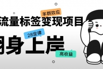 抖音流量标签变现项目，抖音创业粉轻松转化，单价高收益简单-副业网