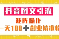 抖音图文引流 矩阵操作 一天100+创业精准粉-副业网