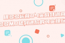 拼多多运营0-1实战特训营，拼多多从0础到进阶的可实操玩法！-副业网