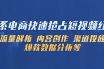 淘系电商快速抢占短视频红利：流量解析 内容创作 渠道投放 爆款数据分析等-副业网