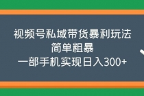 视频号私域带货暴利玩法，简单粗暴，一部手机实现日入300+-副业网