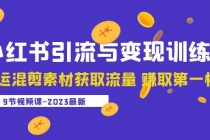 2023小红书引流与变现训练营：搬运混剪素材获取流量 赚取第一桶金-副业网