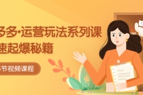 2023拼多多-运营玩法系列课：快速起爆秘籍-副业网
