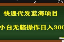 2023最新蓝海快递代发项目，小白零成本照抄也能日入300+-副业网