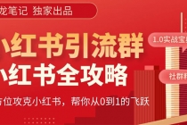 【白龙笔记】价值980元的《小红书运营和引流课》，日引100高质量粉-副业网