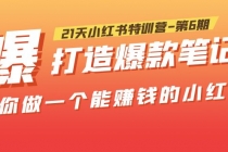 21天小红书特训营-第6期，打造爆款笔记，带你做一个能赚钱的小红书！-副业网