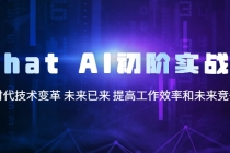 Chat AI初阶实战课，AI时代技术变革 未来已来 提高工作效率和未来竞争力-副业网
