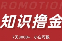 抖音知识撸金项目：简单粗暴日入1000+执行力强当天见收益(教程+资料)-副业网