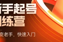 抖音电商-新手起号特训营，菜鸟变老手 快速入门 新手商家超全入门课程大全-副业网