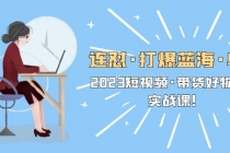 连怼·打爆蓝海·单品，2023短视频·带货好物分享·实战课！-副业网