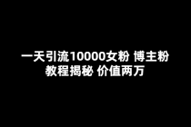 一天引流10000女粉，博主粉教程揭秘-副业网