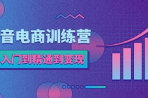 抖音电商训练营：从入门到精通，从账号定位到流量变现，抖店运营实操-副业网