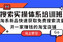 搜索实操体系培训班：淘系新品快速获取免费搜索流量  开一家赚钱的淘宝店铺-副业网