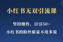 小红书无双课一天引50+女粉，不用做视频发视频，小白也很容易上手拿到结果-副业网