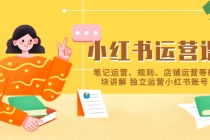 小红书·运营课，笔记运营、规则、店铺运营等模块讲解 独立运营小红书账号-副业网