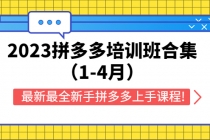 2023拼多多培训班合集，最新最全新手拼多多上手课程!-副业网