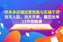 拼多多店铺运营思路与实操干货，当天入驻，当天开卖，稳定出单-副业网