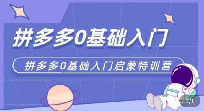 拼多多运营0-1实操特训营，拼多多0基础入门，从基础到进阶的可实操玩法-副业网