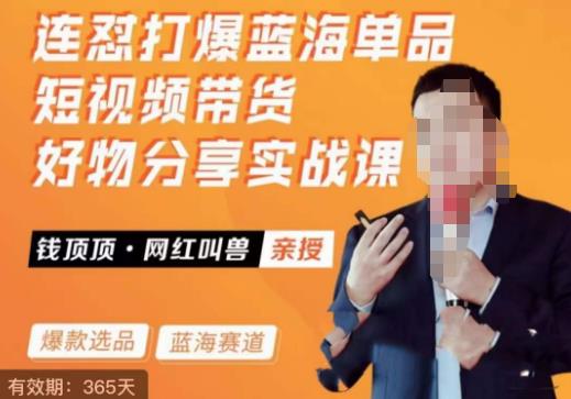 网红叫兽·连怼打爆蓝海单品，短视频带货好物分享实战课-副业网