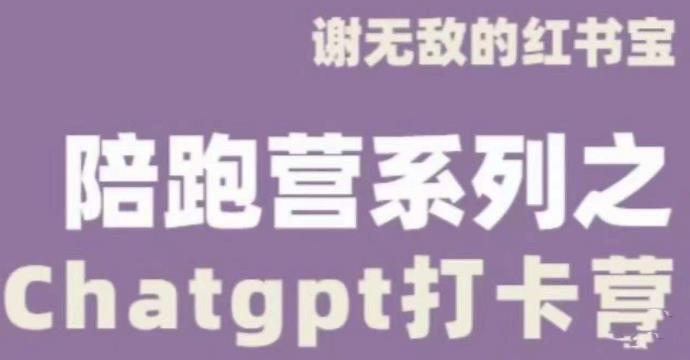 谢无敌ChatGPT打卡营，教你更好地使用ChatGPT来提高工作效率-副业网