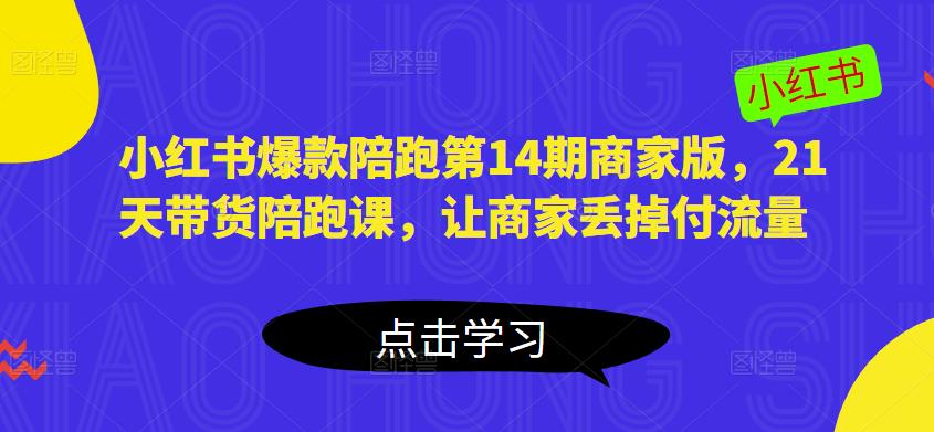 小红书爆款陪跑第14期商家版，21天带货陪跑课，让商家丢掉付流量-副业网
