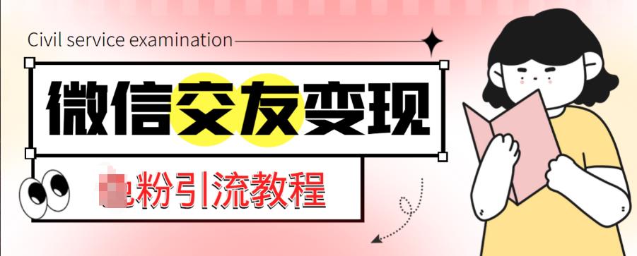 微信交友变现项目，吸引全网LSP男粉精准变现，小白也能轻松上手，日入500+-副业网