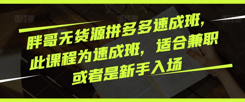 胖哥无货源拼多多速成班，此课程为速成班，适合兼职或者是新手入场-副业网