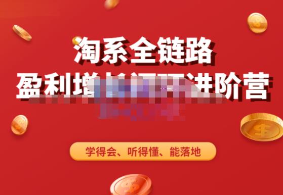 淘系全链路盈利增长闭环进阶营，融合全店动销，学得会、听得懂、能落地！-副业网