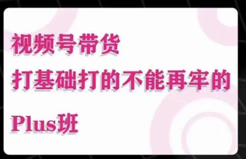 大播汇·视频号带货Puls班，视频号底层逻辑，起号自然流鱼塘等玩法-副业网